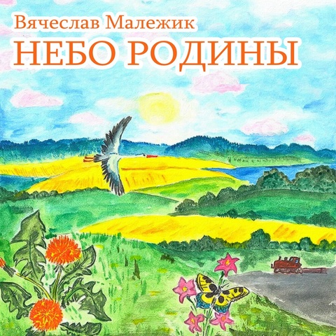 Небо Родины (сингл)